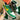 2005 Nike Dunk Low Spring Leaf (US10.5) - outkits.com