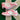 2005 Nike Dunk Real Pink DS (US6 - 7.5WMNS) - outkits.com