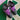 2005 Nike SB Dunk Low Purple Avenger (US10) - outkits.com