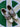 2006 Nike Dunk Low 6.0 Dijon Tree Line (US10.5) - outkits.com