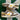 2006 Nike Dunk Low 6.0 Solar Flare Khaki (US11) - outkits.com