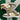 2006 Nike Dunk Low 6.0 Solar Flare Khaki (US11) - outkits.com