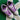2006 Nike SB Dunk Low Purple Pigeon (US10.5) - outkits.com