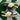 2007 Nike Dunk 6.0 Low Volt Army Olive (US13) - outkits.com
