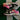 2007 Nike Dunk Low 6.0 Pink Sail (US6 - 7.5wmns) - outkits.com