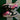 2007 Nike Dunk Low 6.0 Pink Sail (US6 - 7.5wmns) - outkits.com