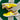2007 Nike Dunk Low Spongebob (US6 - 7.5wmns) - outkits.com