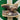 2008 Nike Dunk 6.0 Dark Oak Khaki (US10.5) - outkits.com