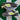 2008 Nike Dunk Low 6.0 Midnight Fog Volt (US11.5) - outkits.com