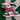 2008 Nike Dunk Low 6.0 White Berry (US5.5 - 7wmns) - outkits.com