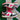 2008 Nike Dunk Low 6.0 White Berry (US5.5 - 7wmns) - outkits.com