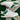 2008 Nike Dunk Low Pine Green DS (US13) - outkits.com
