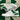 2008 Nike Dunk Low Pine Green DS (US13) - outkits.com