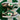 2009 Nike Dunk 6.0 Low Hemp Pine Green (US10.5) - outkits.com