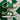 2009 Nike Dunk 6.0 Low Hemp Pine Green (US10.5) - outkits.com
