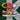 2010 Nike 6.0 Dunk Low Light Green Red Plum (US6.5 - 8wmns) - outkits.com