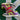 2010 Nike 6.0 Dunk Low Light Green Red Plum (US6.5 - 8wmns) - outkits.com