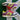 2010 Nike 6.0 Dunk Low Light Green Red Plum (US6.5 - 8wmns) - outkits.com