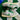 2011 Nike SB Dunk Low Medusa (US11.5) - outkits.com
