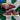 2011 Nike SB Dunk Low UK Passport (US9.5) - outkits.com