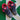 2012 Nike SB Dunk Low Dark Obsidian Gym Red DS (US11.5) - outkits.com