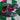2014 Nike SB Dunk Low Northern Lights DS (US10.5) - outkits.com