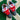 2015 Nike SB Dunk Low Dorothy (US11) - outkits.com