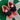 2015 Nike SB Dunk Low Premier Fish Ladder (US8.5) - outkits.com