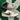 2002 Nike Dunk Pro B Mushroom DS (9.5US) - outkits.com