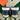 2003 Nike Dunk High Pistachio EU (US10.5) - outkits.com