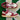 2003 Nike Dunk Low Red White (6US-7.5wmns)