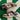 2004 Nike Dunk Low ACG Mowabb (US8.5) - outkits.com