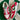 2004 Nike Dunk Low LTD Italy (US11) - outkits.com