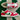 2004 Nike Dunk Low LTD Italy (US11) - outkits.com