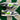2004 Nike Dunk Low Mean Green (US13) - outkits.com