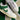 2005 Nike Dunk Low CL Pine Green (US12) - outkits.com