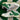 2005 Nike Dunk Low CL Pine Green (US12) - outkits.com