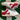 2005 Nike Dunk Low CL Varsity Red (US13) - outkits.com