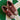 2005 Nike Dunk Low Premium Classic Olive Deep Orange (US12) - outkits.com