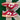 2005 Nike Dunk Low University Red (US7-8.5wmns) - outkits.com