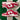 2005 Nike Dunk Low University Red (US7-8.5wmns) - outkits.com
