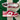 2005 Nike Dunk Low University Red (US7-8.5wmns) - outkits.com