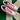 2005 Nike Dunk Real Pink (US6.5-8wmns) - outkits.com