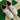2006 Nike Dunk White Buff Old Moss (US11) - outkits.com