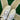 2006 Nike Dunk White Buff Old Moss (US11) - outkits.com