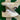 2006 Nike Dunk White Buff Old Moss (US11) - outkits.com