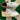 2006 Nike Dunk White Buff Old Moss (US11) - outkits.com