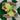 2007 Nike Dunk High Shrek (US9) - outkits.com