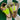 2007 Nike Dunk High Shrek (US9) - outkits.com