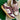 2007 Nike Dunk Low 6.0 Mink (7US-8.5wmns) - outkits.com